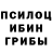 Псилоцибиновые грибы Psilocybe Noel Castillo