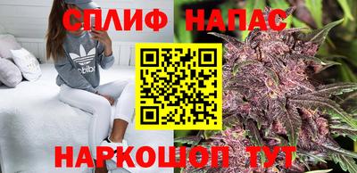 PSILOCYBIN Гудермес