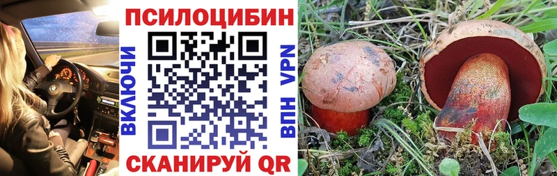 Галлюциногенные грибы Psilocybine cubensis Евпатория
