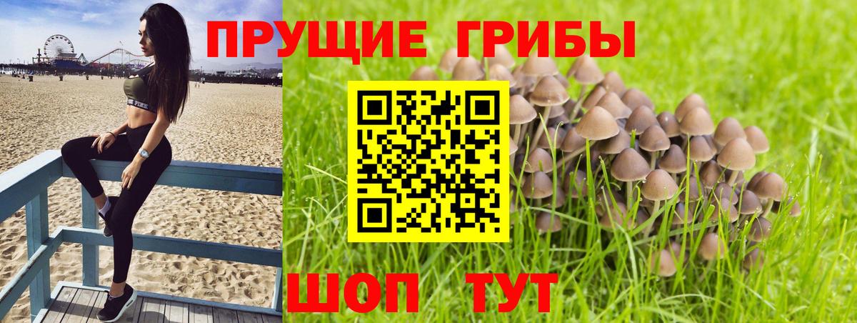 Евпатория  Галлюциногенные грибы GOLDEN TEACHER  Вход с VPN 