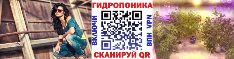 Бошки Шишки индика  купить наркотики сайты  Евпатория 